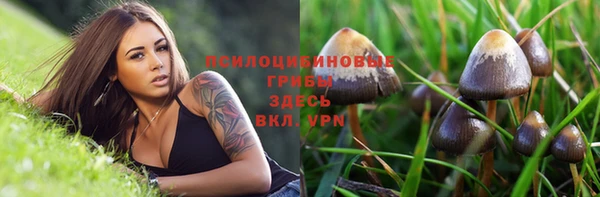 MDMA Premium VHQ Арсеньев