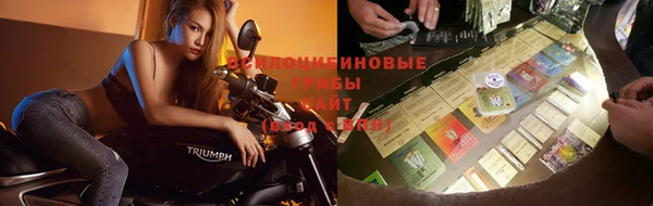 ГАЛЛЮЦИНОГЕННЫЕ ГРИБЫ Армянск