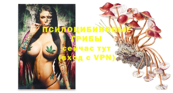 ГАЛЛЮЦИНОГЕННЫЕ ГРИБЫ Армянск